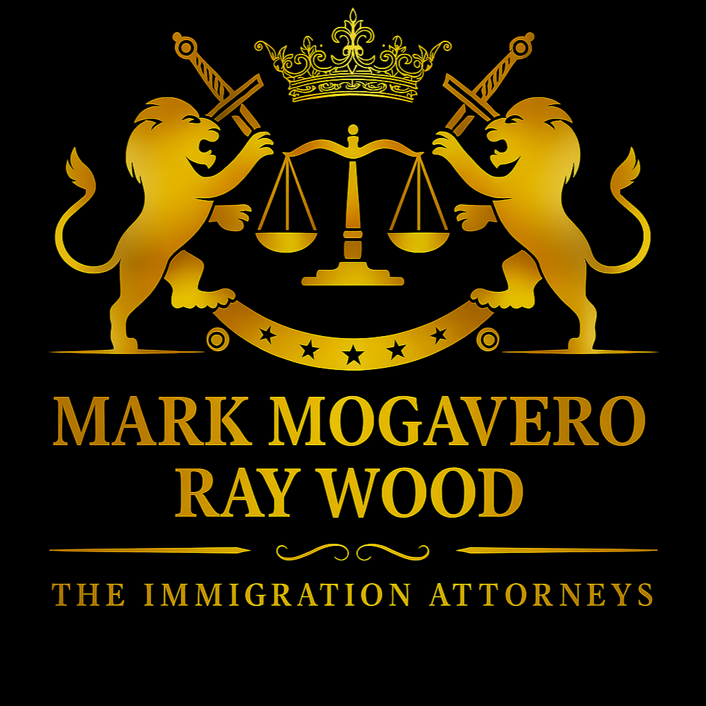 The Immigration Attorneys